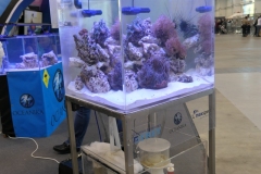 2019.10-ZooPark-Lublin-Wystawa-Zdjecie-008-Oceanika