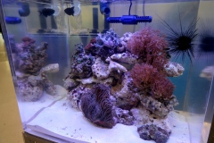 2019.10-ZooPark-Lublin-Wystawa-Zdjecie-009-Oceanika