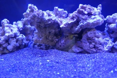 2019.10-ZooPark-Lublin-Wystawa-Zdjecie-011-Oceanika