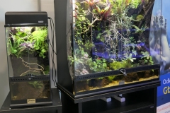 2019.10-ZooPark-Lublin-Wystawa-Zdjecie-012-Oceanika