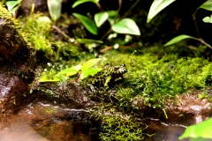 2019.10-ZooPark-Lublin-Wystawa-Zdjecie-014-Oceanika