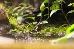 2019.10-ZooPark-Lublin-Wystawa-Zdjecie-015-Oceanika