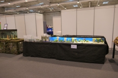 2019.10-ZooPark-Lublin-Wystawa-Zdjecie-026-Henryk-Wolanski-Malopolska-Hodowla-Ryb-i-Roslin-Princes