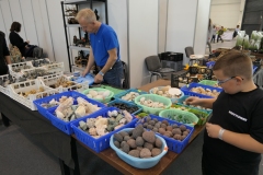 2019.10-ZooPark-Lublin-Wystawa-Zdjecie-030-Skaly-korzenie-ozdoby