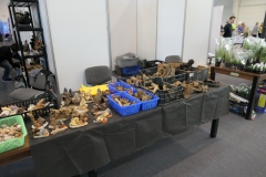 2019.10-ZooPark-Lublin-Wystawa-Zdjecie-031-Skaly-korzenie-ozdoby