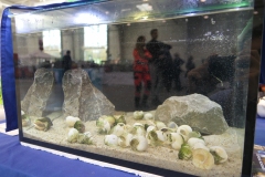 2019.10-ZooPark-Lublin-Wystawa-Zdjecie-040-Klub-Milosnikow-Tanganiki