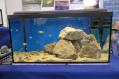 2019.10-ZooPark-Lublin-Wystawa-Zdjecie-041-Klub-Milosnikow-Tanganiki