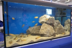 2019.10-ZooPark-Lublin-Wystawa-Zdjecie-042-Klub-Milosnikow-Tanganiki