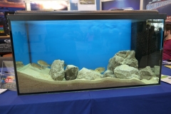 2019.10-ZooPark-Lublin-Wystawa-Zdjecie-043-Klub-Milosnikow-Tanganiki