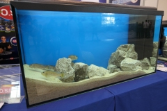 2019.10-ZooPark-Lublin-Wystawa-Zdjecie-044-Klub-Milosnikow-Tanganiki