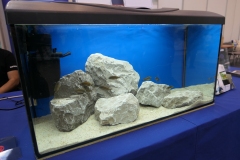 2019.10-ZooPark-Lublin-Wystawa-Zdjecie-045-Klub-Milosnikow-Tanganiki