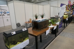 2019.10-ZooPark-Lublin-Wystawa-Zdjecie-047-Krzysztof-Raczkowski-Aquarak.pl_