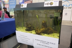 2019.10-ZooPark-Lublin-Wystawa-Zdjecie-048-Krzysztof-Raczkowski-Aquarak.pl_