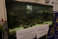 2019.10-ZooPark-Lublin-Wystawa-Zdjecie-049-Krzysztof-Raczkowski-Aquarak.pl_