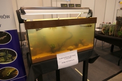 2019.10-ZooPark-Lublin-Wystawa-Zdjecie-050-Krzysztof-Raczkowski-Aquarak.pl_