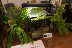 2019.10-ZooPark-Lublin-Wystawa-Zdjecie-051-Krzysztof-Raczkowski-Aquarak.pl_