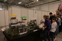 2019.10-ZooPark-Lublin-Wystawa-Zdjecie-052-Arctus-ZOO-Lublin