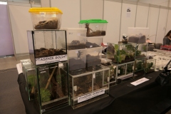 2019.10-ZooPark-Lublin-Wystawa-Zdjecie-053-Arctus-ZOO-Lublin