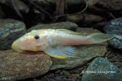 146459258_1517795541744519_241439012088275567_o