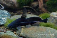 146837642_1517788905078516_5605220697111294472_o