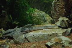 68786972_1090557777801633_1334843923989790720_o