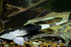 69032637_1088673947990016_2643779510033448960_o