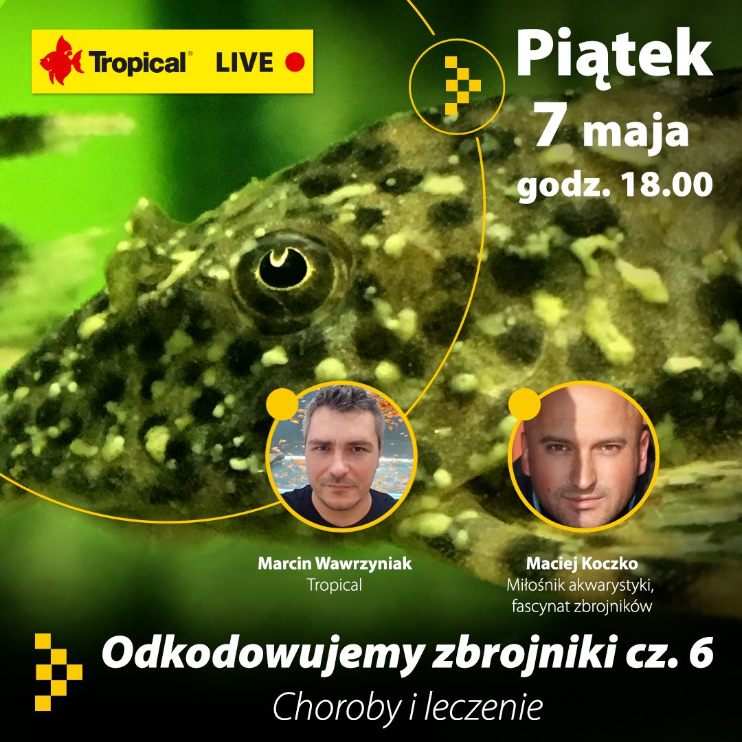 zbrojniki choroby i leczenie