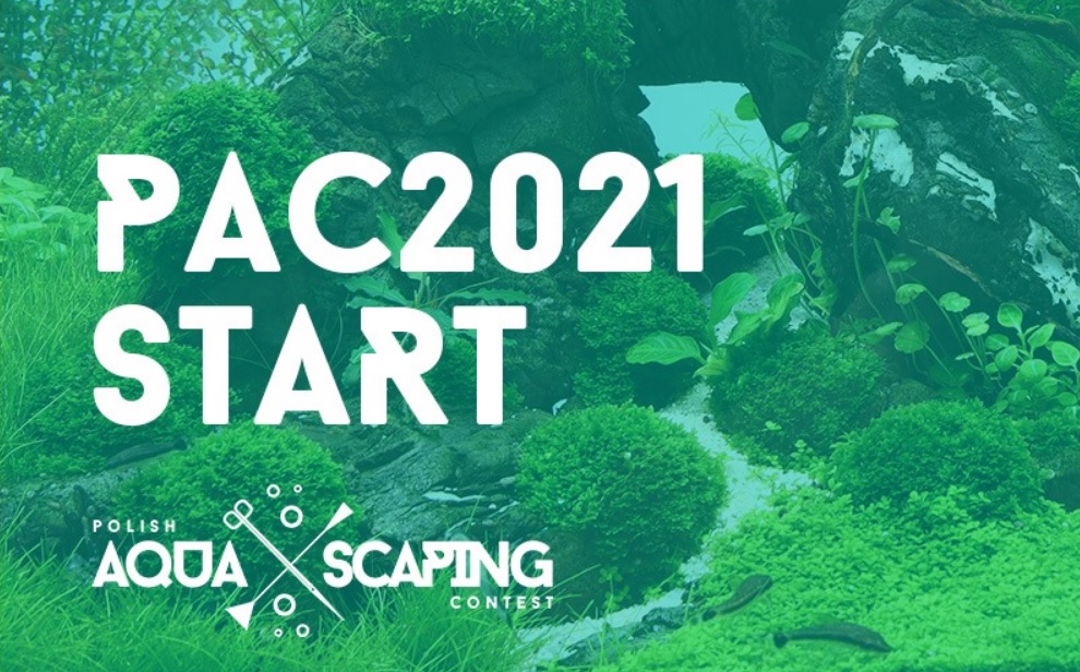 POlish Aquascaping contest 2021