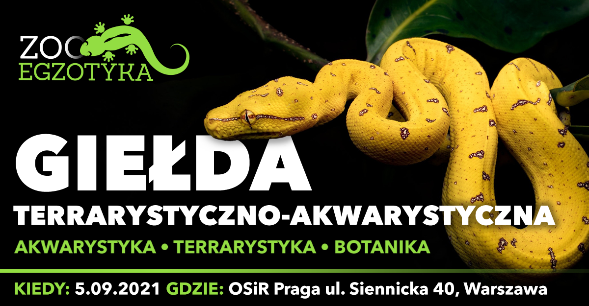 ZooEgzotyka 5 września 2021