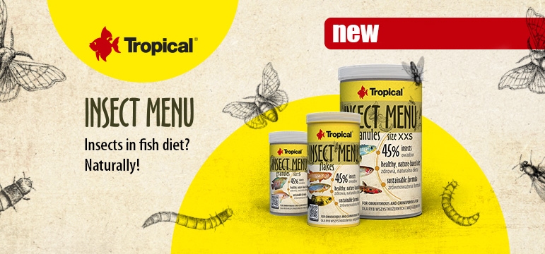 Tropical Incect Flakes